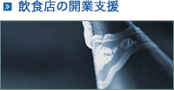 HX̊JƎx